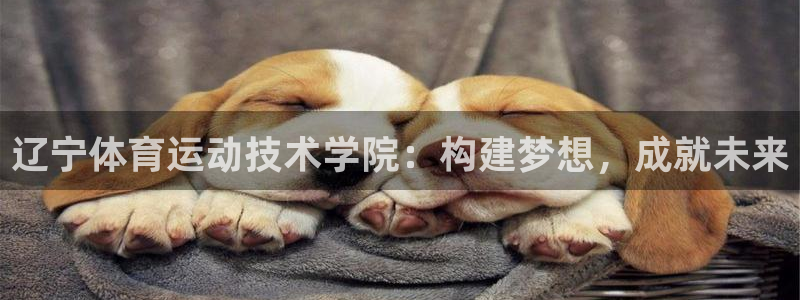 即嗨体育抢先版：辽宁体育运动技术学院：构建梦想，成就未来