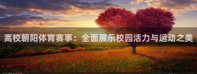 即嗨体育：高校朝阳体育赛事：全面展示校园活力与运动之美