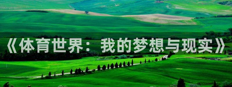 即嗨体育网页版：《体育世界：我的梦想与现实》
