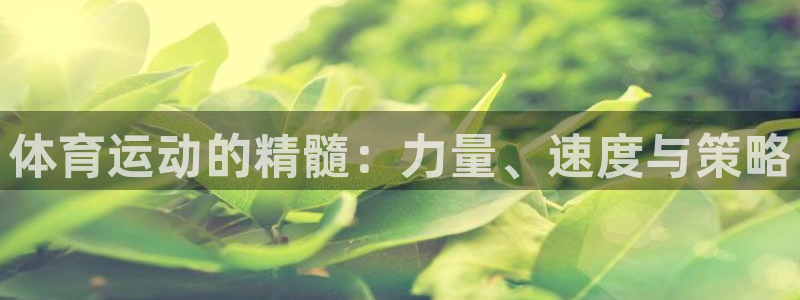 即嗨体育网页版：体育运动的精髓：力量、速度与策略