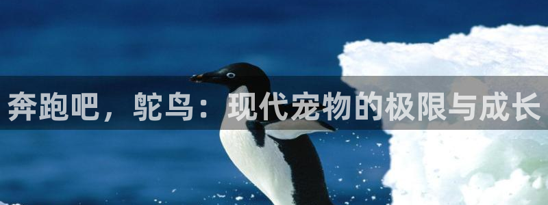 即嗨体育抢先版：奔跑吧，鸵鸟：现代宠物的极限与成长