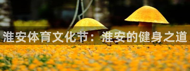 即嗨体育官网：淮安体育文化节：淮安的健身之道